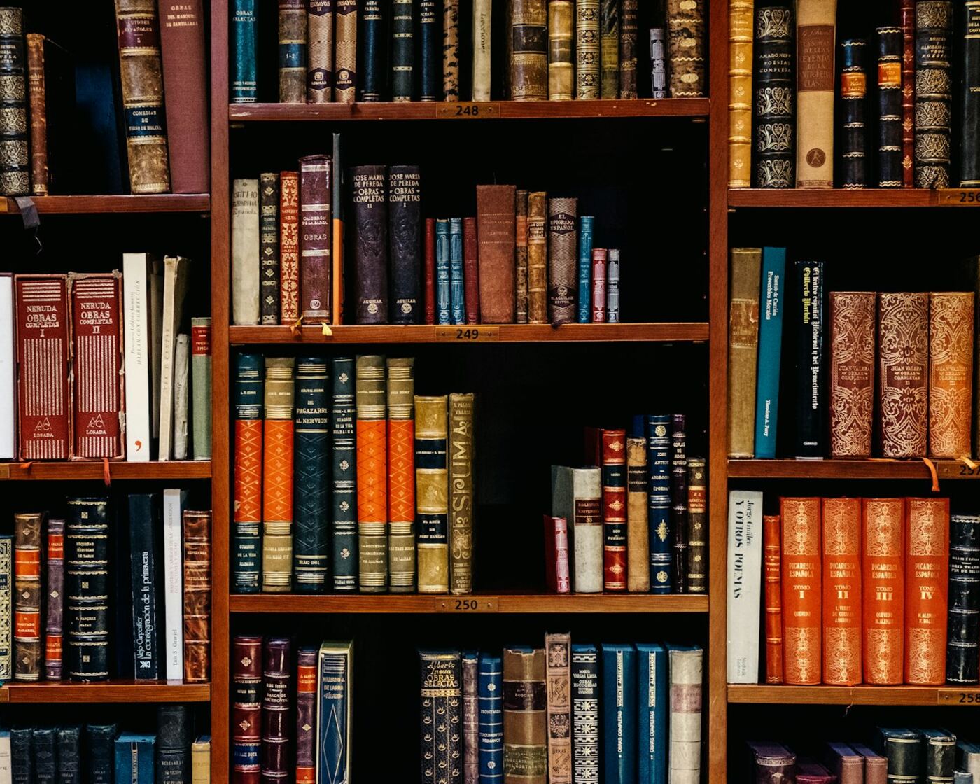 Rows of bound volumes on a law library bookshelf